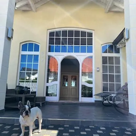 Naehe Saarbruecken Mit Grossem Garten Villa