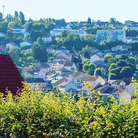 Naehe Saarbruecken Mit Grossem Garten Villa *