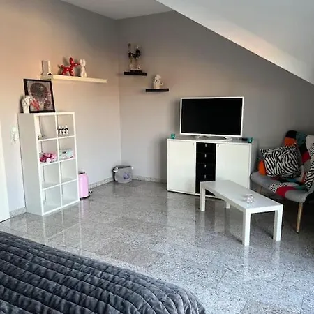 Naehe Saarbruecken Mit Grossem Garten Villa Oeting
